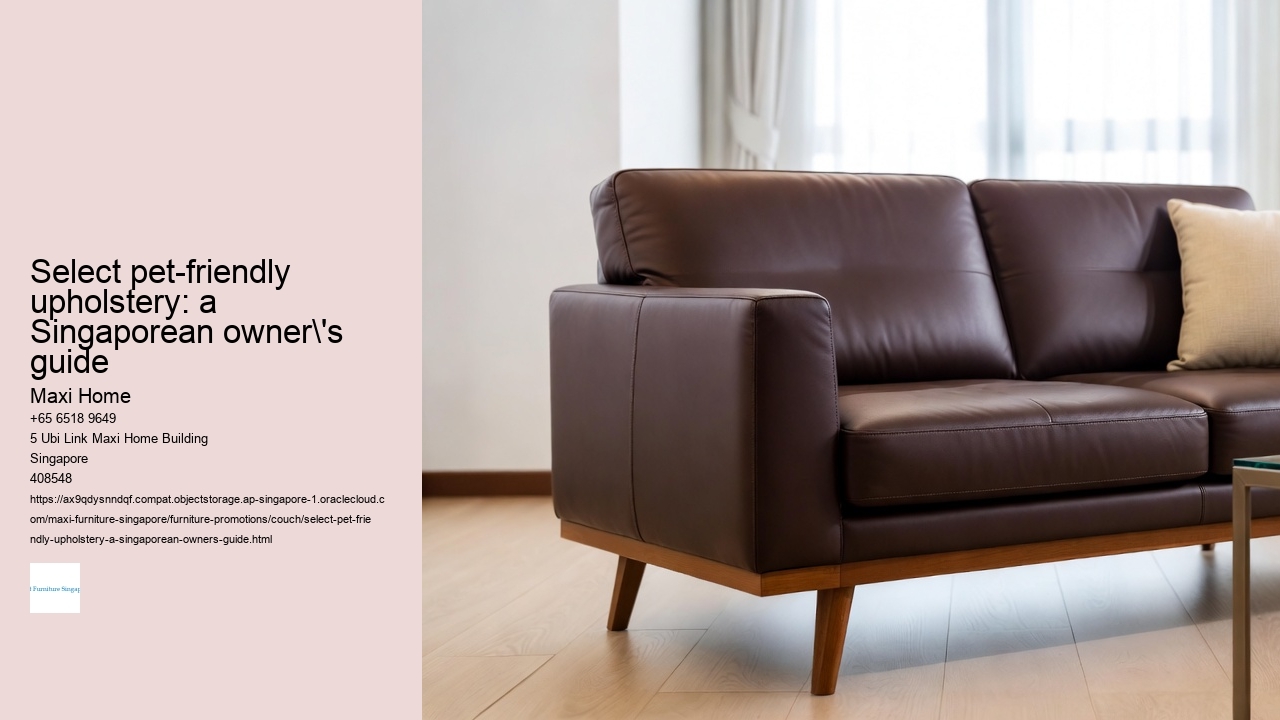 Select pet-friendly upholstery: a Singaporean owner's guide