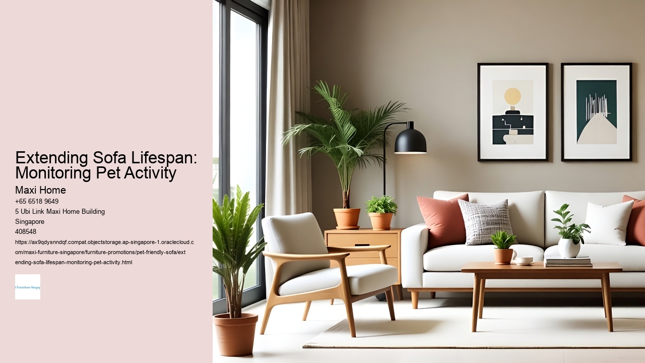 Extending Sofa Lifespan: Monitoring Pet Activity