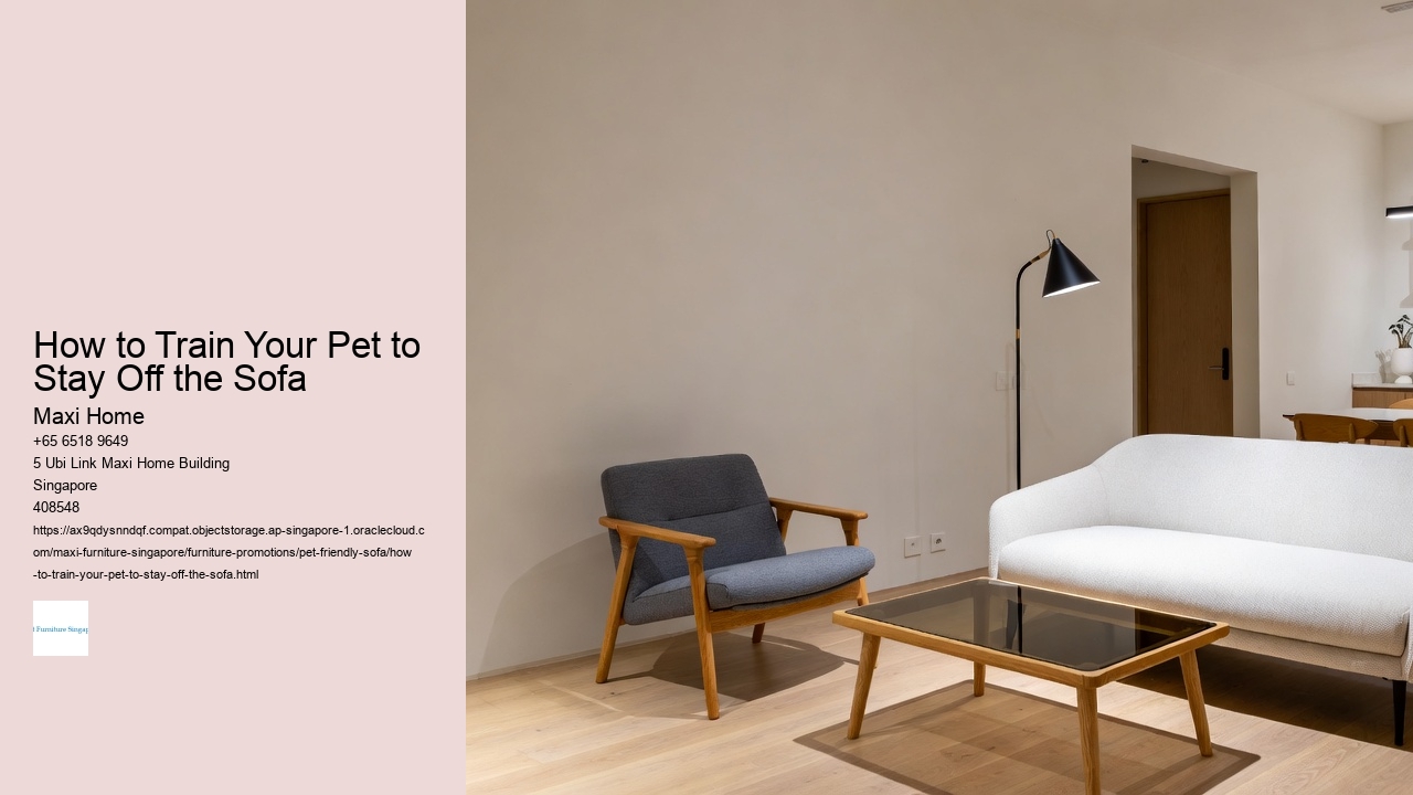 How to Train Your Pet to Stay Off the Sofa Maxi Home How to Train Your Pet to Stay Off the Sofa