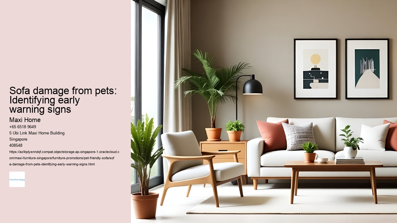 Sofa damage from pets: Identifying early warning signs
